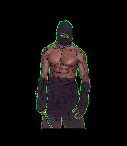 AsRayl, The Dark Ninja
